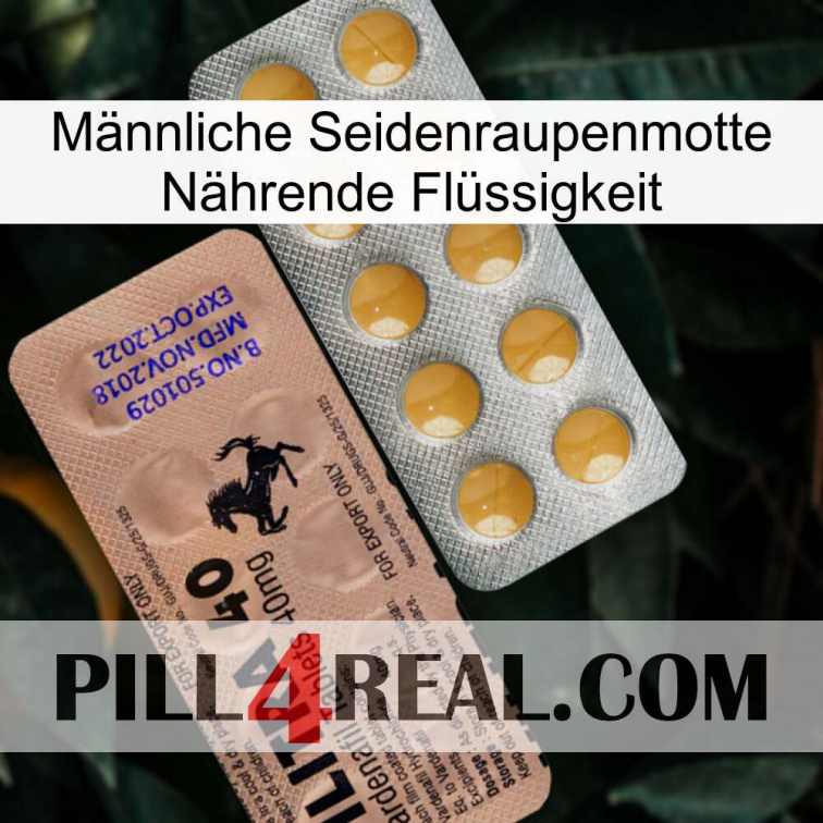 Männliche Seidenraupenmotte Nährende Flüssigkeit 41
